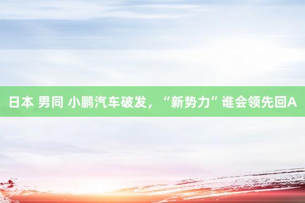 日本 男同 小鹏汽车破发，“新势力”谁会领先回A