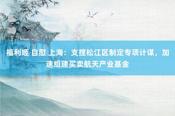福利姬 自慰 上海：支捏松江区制定专项计谋，加速组建买卖航天产业基金