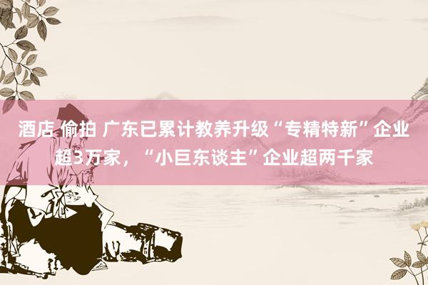 酒店 偷拍 广东已累计教养升级“专精特新”企业超3万家,“小巨东谈主”企业超两千家