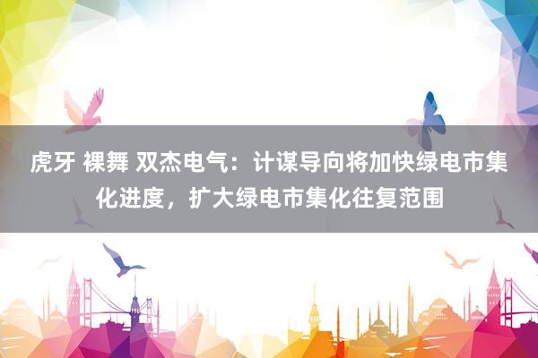 虎牙 裸舞 双杰电气：计谋导向将加快绿电市集化进度，扩大绿电市集化往复范围